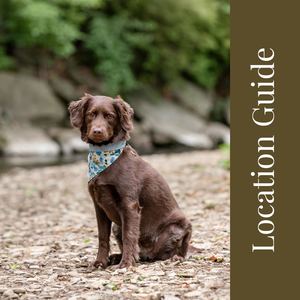 Location Guide