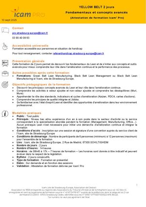 Yellow Belt Lean Fondamentaux 2 Jours 1