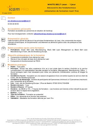 White Belt Lean Découverte Des Fondamentaux 1 Jour