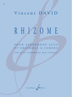 Vincent David - Rhizome
