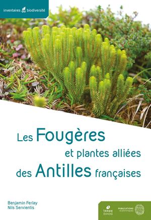 Les fougères et plantes alliés des Antilles françaises