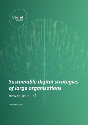 Sustainable Digital Strategies of Large Organisations: How to Scale Up?
