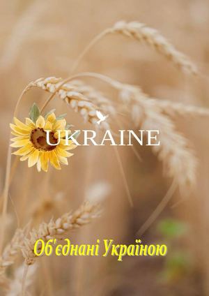 Об’єднані Україною : літературний путівник / Полтавська обласна бібліотека для юнацтва імені Олеся Гончара ; уклад. О. Пошибайло. – Полтава : ПОБЮ імені Олеся Гончара, 2025. – 40 с.