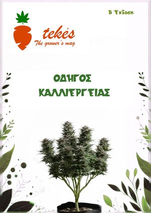 2nd Edition Tekes Magazine Book