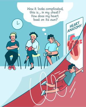 BD n°1. The heart's electrical system