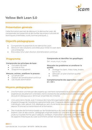 Fiche formation Yellow Belt Lean 5 0
