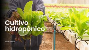 Green And White Modern Minimalist Nature Presentation 20250923 145326 0000