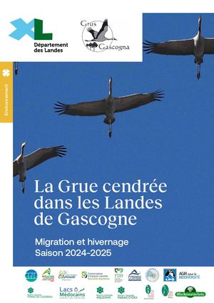 La Grue cendrée | Migration et hivernage 2024-2025