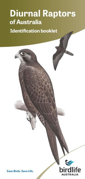 BirdLife Diurnal Raptor ID Guide