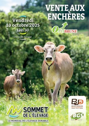 Catalogue Optibrune 2025