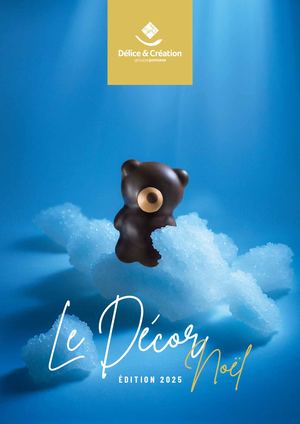 Catalogue décor noël 2025