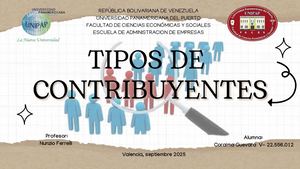 Tipos de contribuyentes