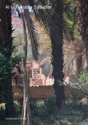 Boutadjine Kamelia Pfe Juil2025