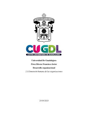 2 3 Dimensión Humana De Las Organizaciones