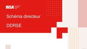 Schéma directeur DDRSE