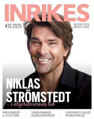 Inrikes 10 2025