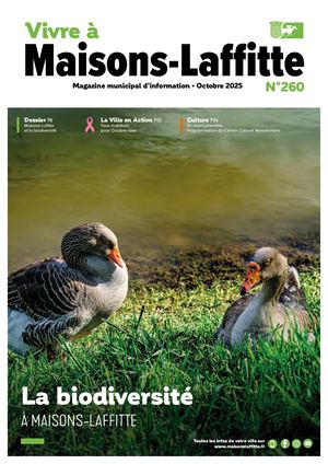 Vaml 260 Octobre 2025