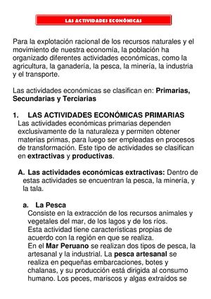 Actividad Economica