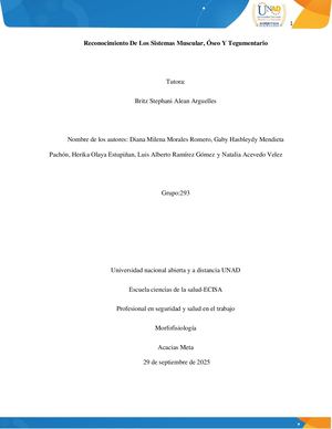 Reconocimiento De Los Sistemas Muscular, ÓSeo Y Tegumentario