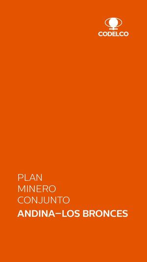 Plan Minero Conjunto Andina - Los Bronces