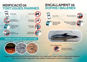 Protocol Actuació Fauna Marina AMB CRAM
