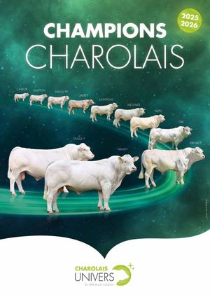 Champion Charolais 2026