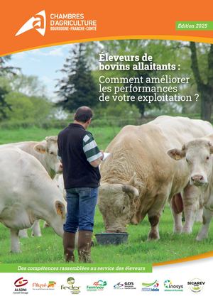 Éleveurs de bovins allaitants : Comment améliorer les performances de votre exploitation ?