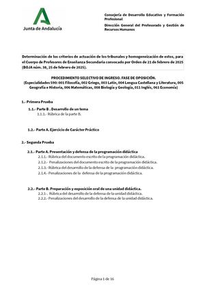 Criterios Actuacion Tribunales Profesores Secundaria2025