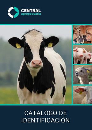 Catalogo Identificacion
