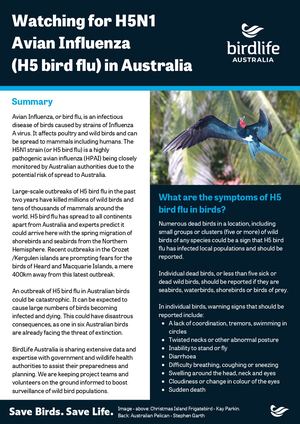 Fact sheet: Watching for H5N1 Avian Influenza in Australia