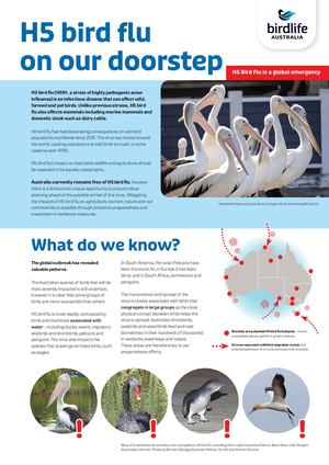 Avi Flu Map Online Tool 2025