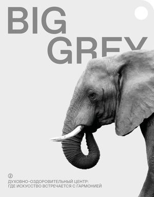 Журнал BIG GREY