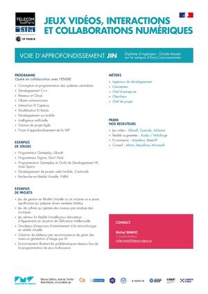 OPTION JEUX VIDÉOS, INTERACTIONS ET COLLABORATIONS NUMÉRIQUES (JIN)