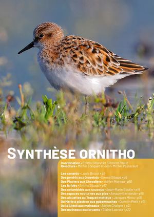 Synthèse 2024 Complète