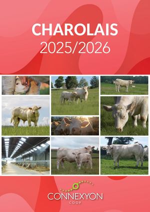 Catalogue Charolais Connexyon Coop 25-26