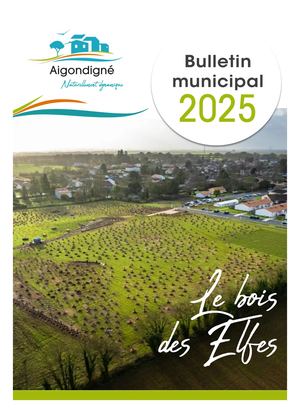 Bulettin Municipal Calameo