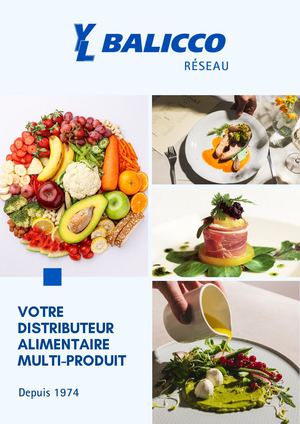 Catalogue Balicco Réseau