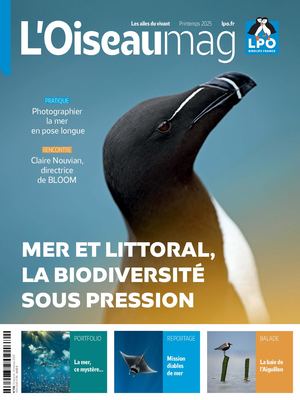 OISEAU MAG 158