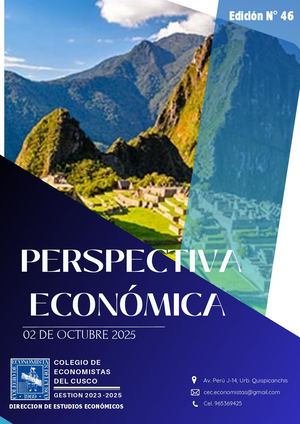 Perspectiva Económica N° 046