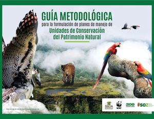 Guía de planes de manejo (DICOPAN)