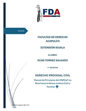 Manual Universitario Derecho Procesal Civil Y Familiar 2025