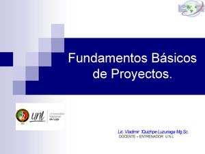 Conceptos Basicos De Proyectos