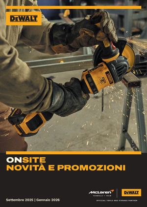 Dewalt Volantino Febbraio 2025 (1)