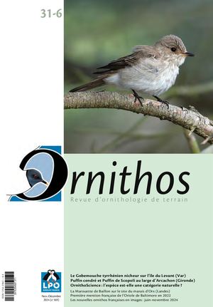 Ornithos 31-6, décembre 2024