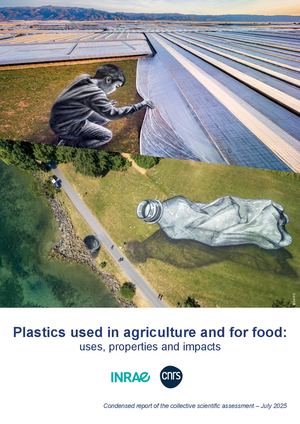 Condensed Report Of The Csa Plastics Used In Agriculture And For Food Provisionalversion250325 Filigrane