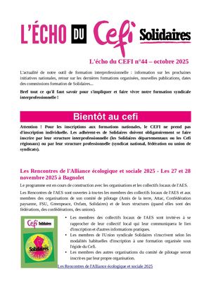 L'écho Du Cefi N° 44 Octobre 2025