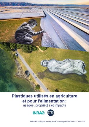 Plastiques utilisés dans l'agriculture et l'alimentation - résumé de