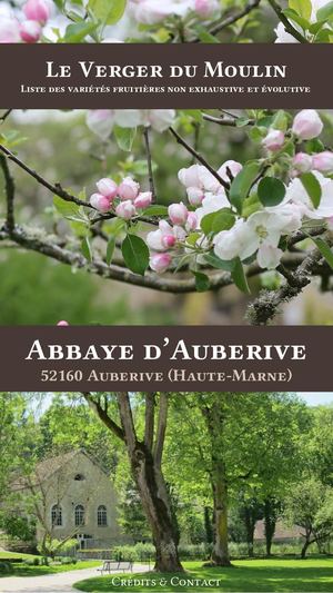 Le verger du Moulin - Abbaye d'Auberive