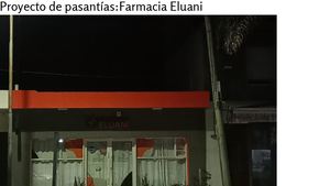 practicas profesionalizantes