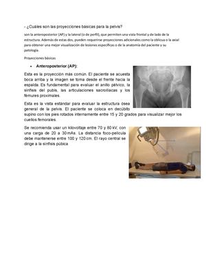 Cuáles Son Las Proyecciones Básicas Para La Pelvis